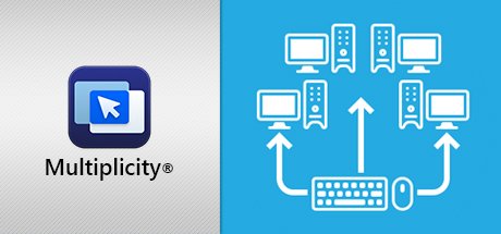 Multiplicity
